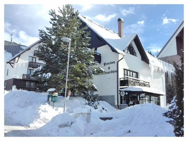 U Bernardyna Hotel Harrachov Exterior photo